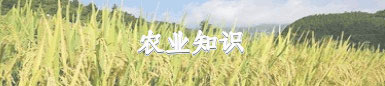 提供農業儀器相關專業知識