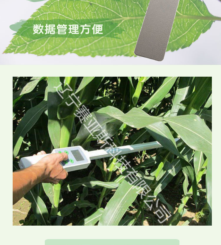 植物冠層分析儀SYS-PAR