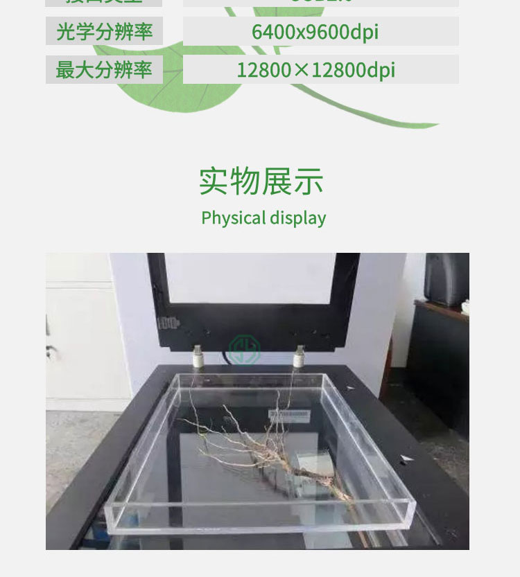 根系分析系統WinRHIZO