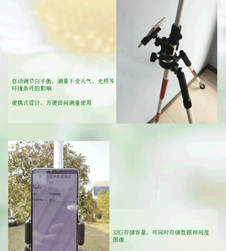 農作物株高快速測量儀SYS-ZWZG-1