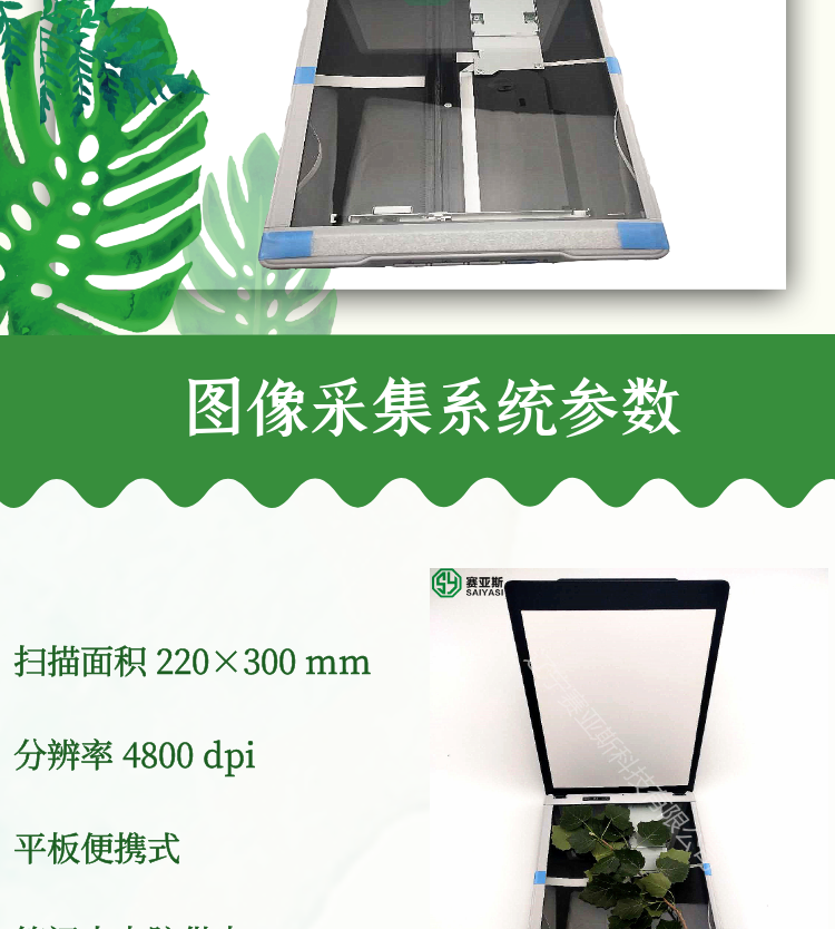 葉片圖像分析儀SYS-FS-leaf1000