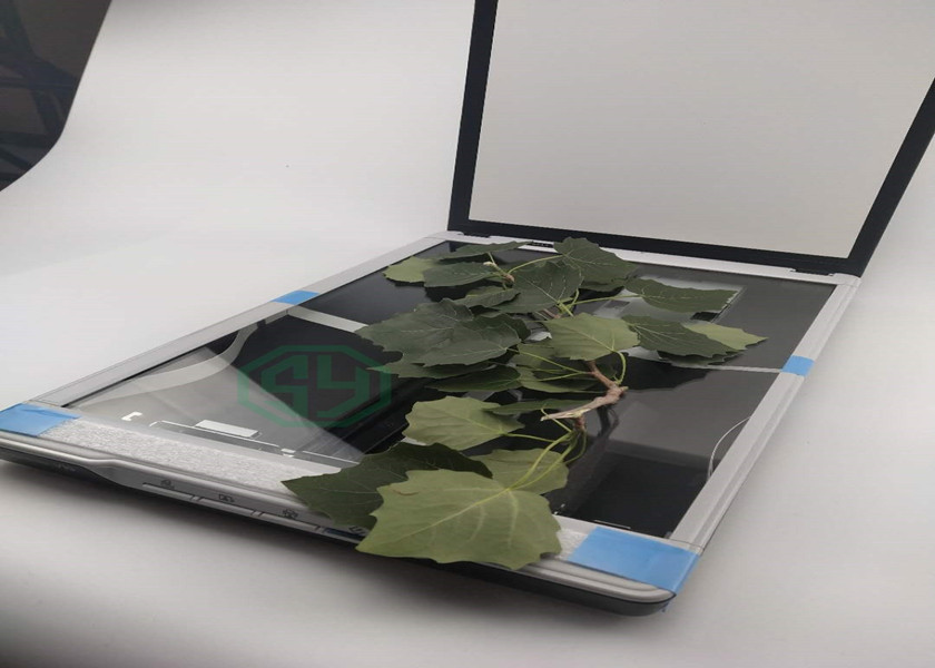葉片圖像分析儀SYS-FS-leaf1000